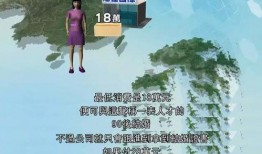 香港婚姻爆料网站大全最新,揭秘婚恋圈内的秘密与真相