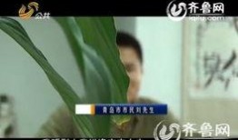 四川刘先生最新爆料,事件详情及背后真相