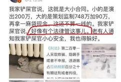 独家爆料逃税案例最新版,最新逃税案例曝光，涉案金额令人咋舌！