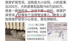 独家爆料逃税案例最新版,最新逃税案例曝光，涉案金额令人咋舌！