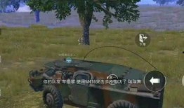 黄金玛莎返场最新爆料,揭秘最新爆料背后的精彩故事