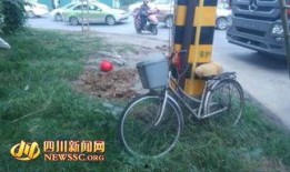 四川刘先生最新爆料,事件详情及背后真相