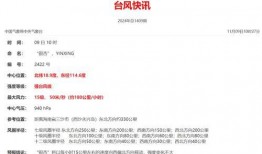 小雨最新爆料新闻,最新爆料新闻背后的惊人真相