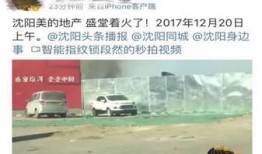 沈阳爆料最新,揭秘城市热点事件背后的真相