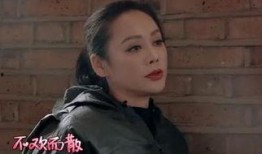 郑爽宁静最新爆料,最新爆料揭秘幕后真相